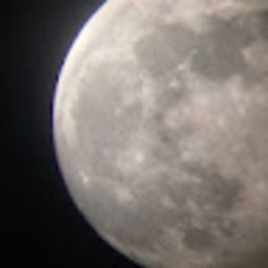 Meet your Posher, Edith